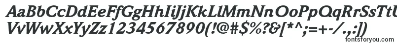 Шрифт WeidemannstdBlackitalic – OTF шрифты