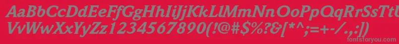 WeidemannstdBlackitalic Font – Gray Fonts on Red Background