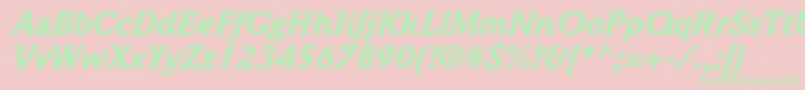 WeidemannstdBlackitalic Font – Green Fonts on Pink Background