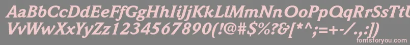 WeidemannstdBlackitalic Font – Pink Fonts on Gray Background