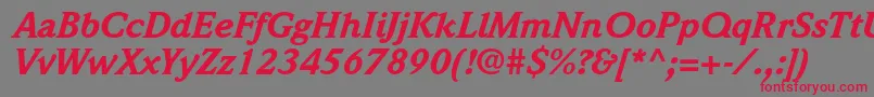 WeidemannstdBlackitalic Font – Red Fonts on Gray Background