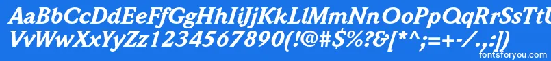 Czcionka WeidemannstdBlackitalic – białe czcionki na niebieskim tle