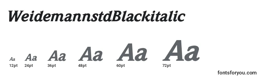 WeidemannstdBlackitalic Font Sizes