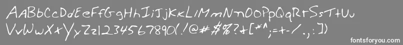 WeldonshandRegular Font – White Fonts on Gray Background