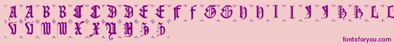 Gothiccapsb Font – Purple Fonts on Pink Background