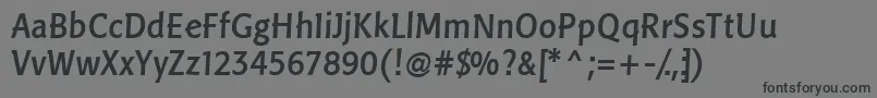 LinotypePisaMedium Font – Black Fonts on Gray Background