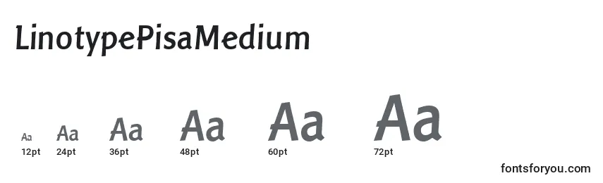 LinotypePisaMedium Font Sizes