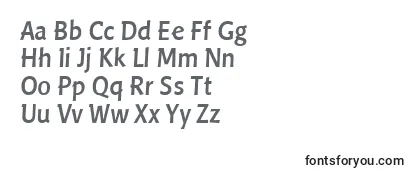 Шрифт LinotypePisaMedium