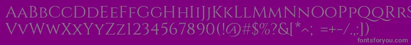 フォントCinzelRegular – 紫の背景に灰色の文字