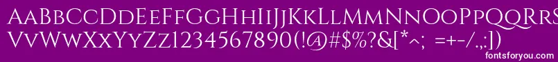 CinzelRegular Font – White Fonts on Purple Background