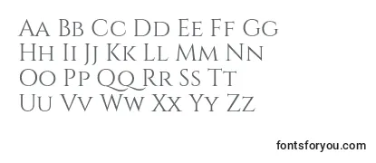Review of the CinzelRegular Font