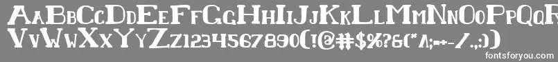 ChardinDoihleBold Font – White Fonts on Gray Background