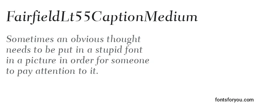 Review of the FairfieldLt55CaptionMedium Font