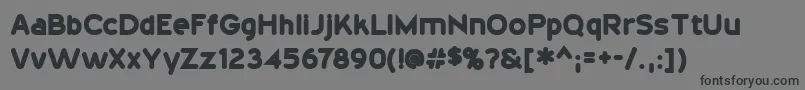 フォント20thCenturyFontBold – 黒い文字の灰色の背景
