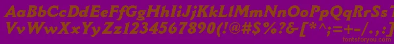 CantoriamtstdExtraboldit Font – Brown Fonts on Purple Background