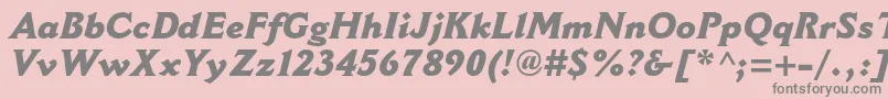 CantoriamtstdExtraboldit Font – Gray Fonts on Pink Background