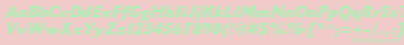 CantoriamtstdExtraboldit-Schriftart – Grüne Schriften auf rosa Hintergrund