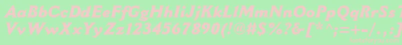 CantoriamtstdExtraboldit Font – Pink Fonts on Green Background