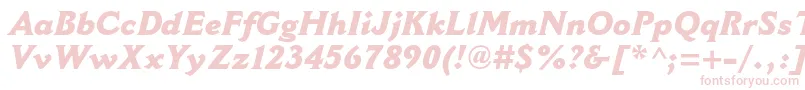 CantoriamtstdExtraboldit Font – Pink Fonts on White Background