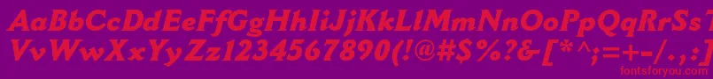 CantoriamtstdExtraboldit Font – Red Fonts on Purple Background