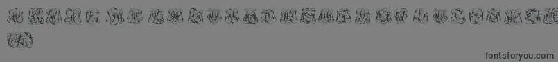 HardToReadMonograms-Schriftart – Schwarze Schriften auf grauem Hintergrund