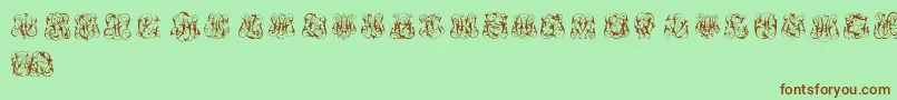 HardToReadMonograms Font – Brown Fonts on Green Background