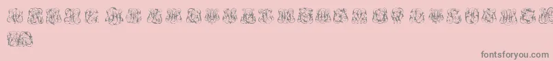 HardToReadMonograms Font – Gray Fonts on Pink Background