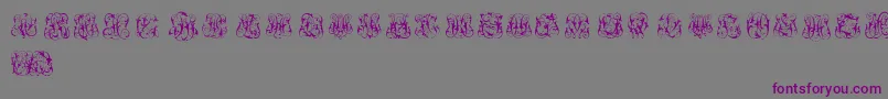 HardToReadMonograms Font – Purple Fonts on Gray Background