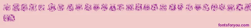 HardToReadMonograms Font – Purple Fonts on Pink Background