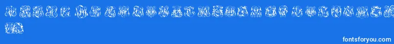 HardToReadMonograms Font – White Fonts on Blue Background