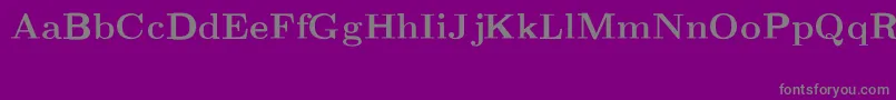 CmRomanextBold Font – Gray Fonts on Purple Background