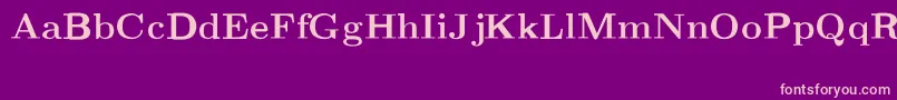 CmRomanextBold Font – Pink Fonts on Purple Background