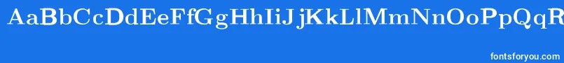 フォントCmRomanextBold – 青い背景に白い文字