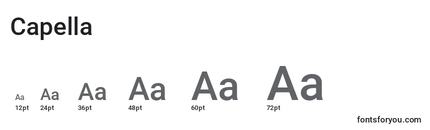 Размеры шрифта Capella