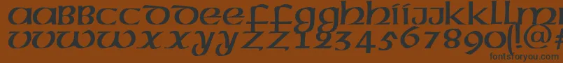 Шрифт MegenPlain.001.001 – чёрные шрифты на коричневом фоне