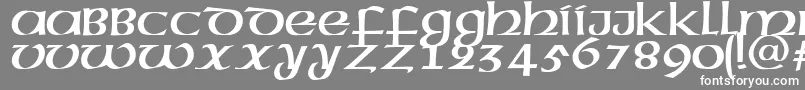 フォントMegenPlain.001.001 – 灰色の背景に白い文字