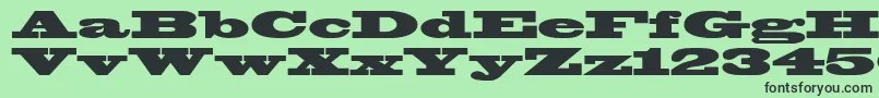 Blackoakstd Font – Black Fonts on Green Background