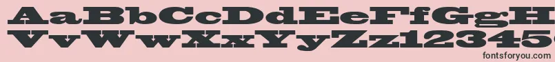 Blackoakstd Font – Black Fonts on Pink Background