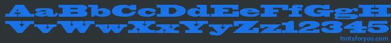Blackoakstd Font – Blue Fonts on Black Background