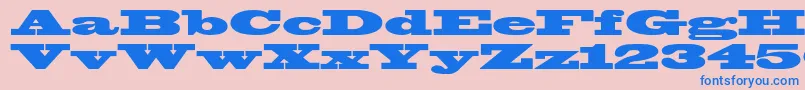 Blackoakstd Font – Blue Fonts on Pink Background