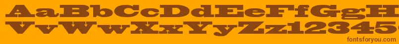 Blackoakstd Font – Brown Fonts on Orange Background