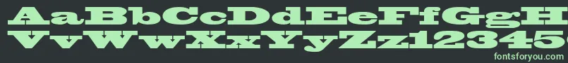 Blackoakstd Font – Green Fonts on Black Background