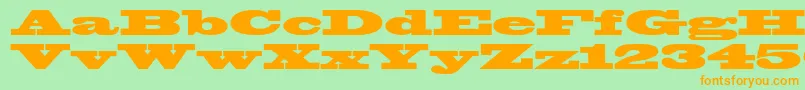 Blackoakstd-Schriftart – Orangefarbene Schriften auf grünem Hintergrund