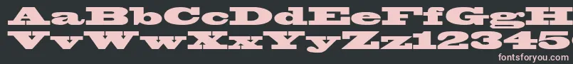 Blackoakstd Font – Pink Fonts on Black Background