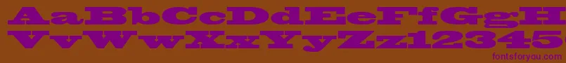 Police Blackoakstd – polices violettes sur fond brun