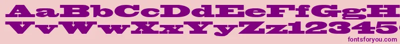 Blackoakstd Font – Purple Fonts on Pink Background