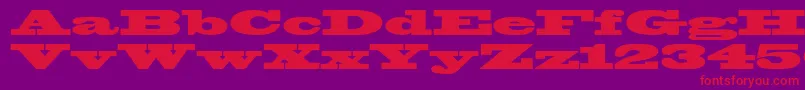 Blackoakstd Font – Red Fonts on Purple Background