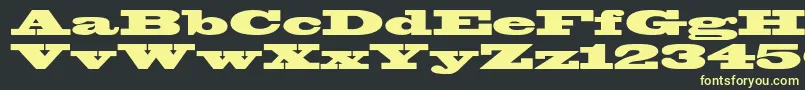 Blackoakstd Font – Yellow Fonts on Black Background