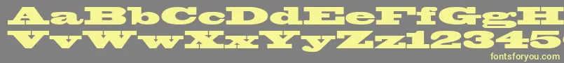 Blackoakstd Font – Yellow Fonts on Gray Background