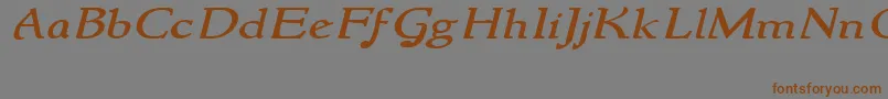 フォントNewstylewideItalic – 茶色の文字が灰色の背景にあります。